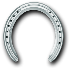 Bonded Outer Rim